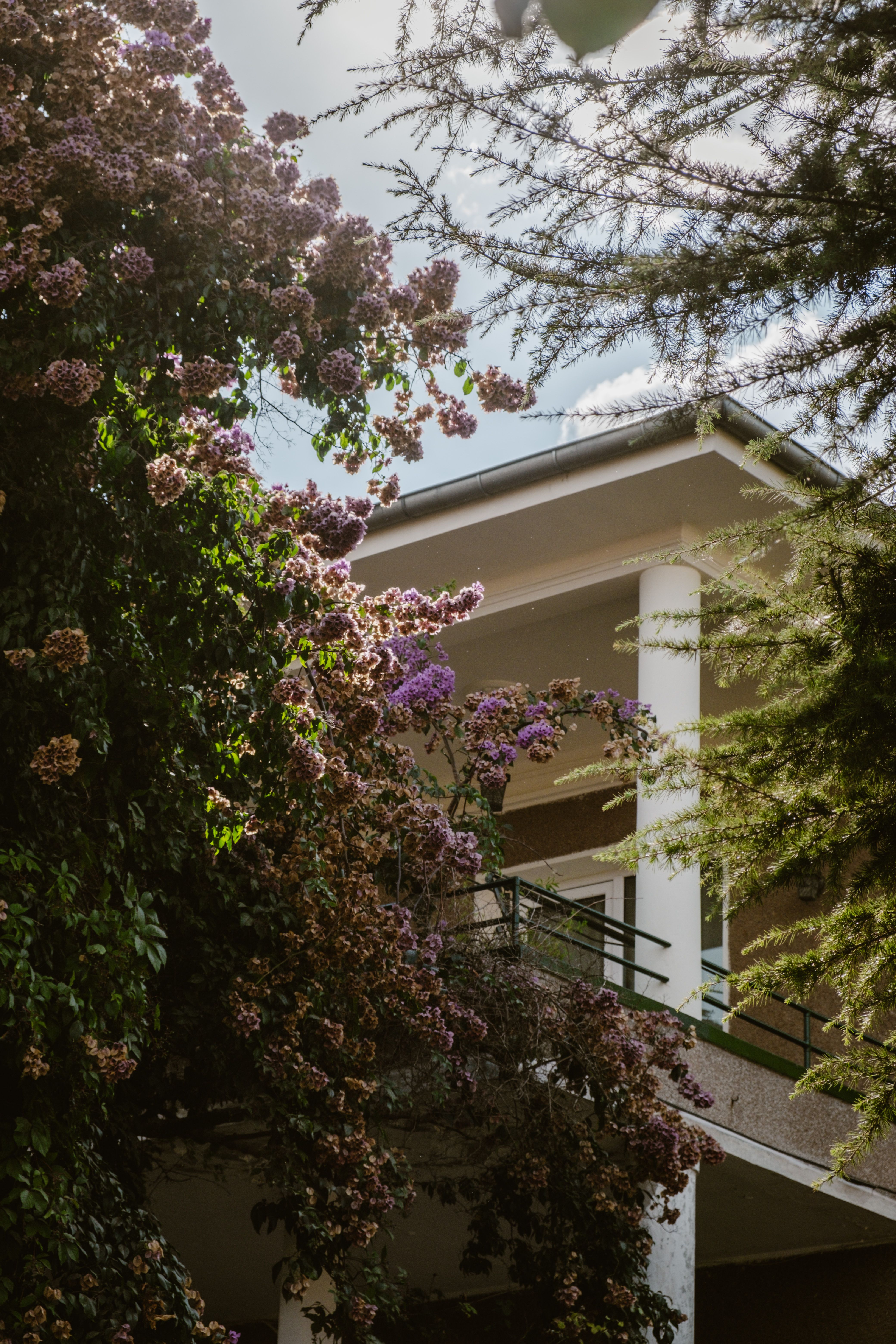 Residential home in Karen